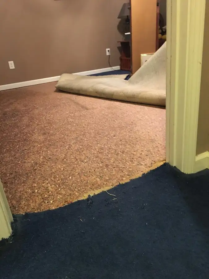 Carpet pad removal revealing water damage during Water Mitigation Services in Murray